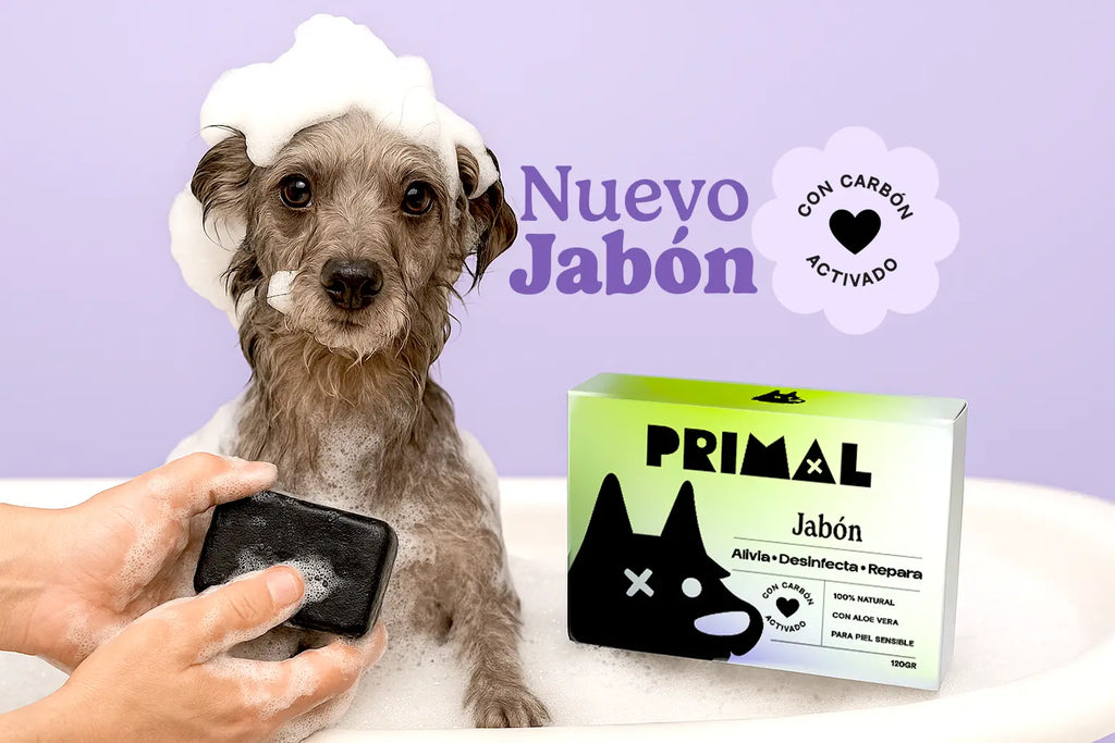 Jabón Natural con Carbón Activado